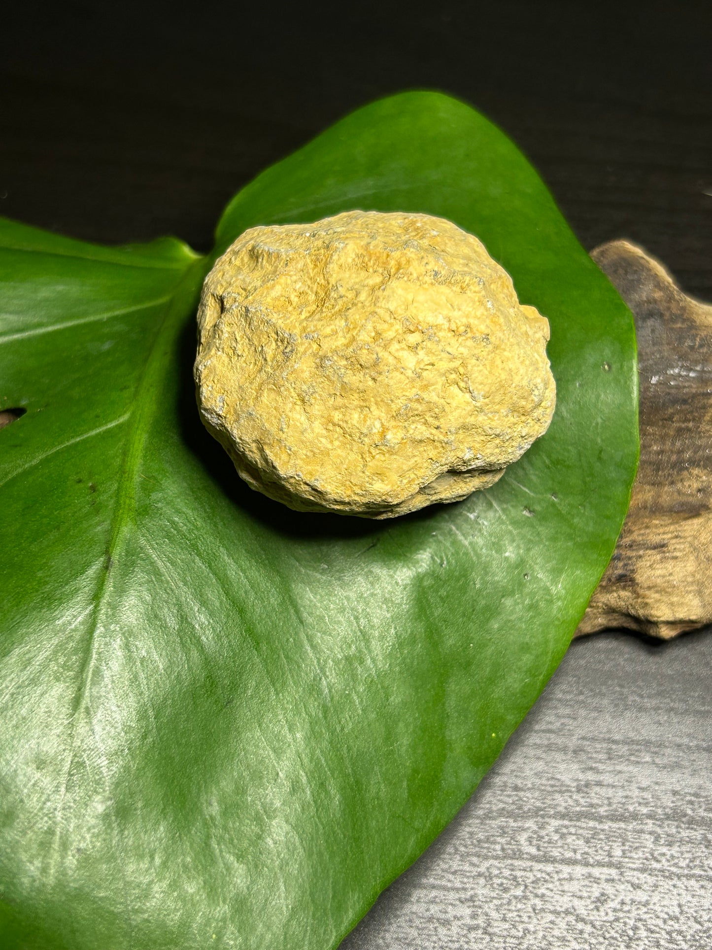 Achat - Nussgeode (Feengärtchen) mittel